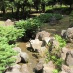 麻生区の名所王禅寺ふるさと公園の小川