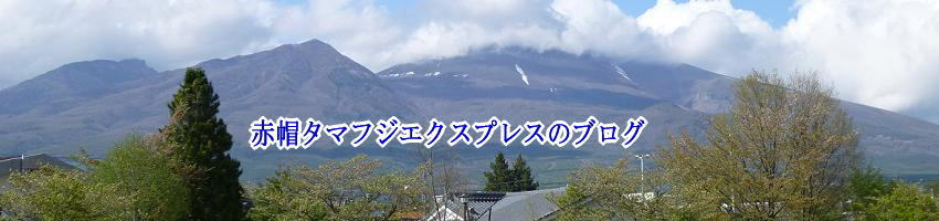 赤帽タマフジの月間ブログ