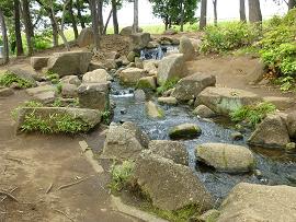 川崎市多摩区の稲田公園のせせらぎ