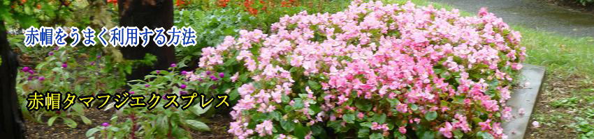 赤帽を上手に利用する方法