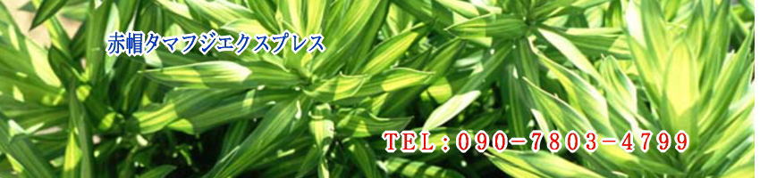 川崎市宮前区の赤帽緊急配送便