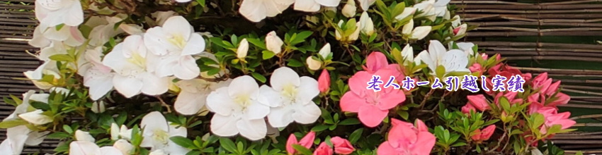 老人ホームの引越し実績