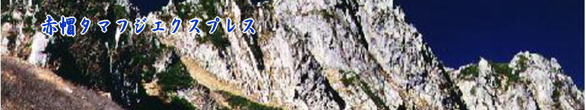 引越しをする際に役に立つポイント