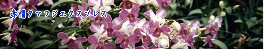 引越し時に大切な準備法