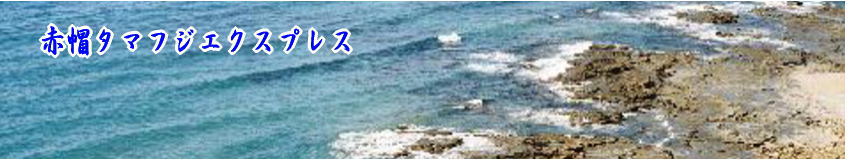 いろいろなジャンルのおすすめサイト