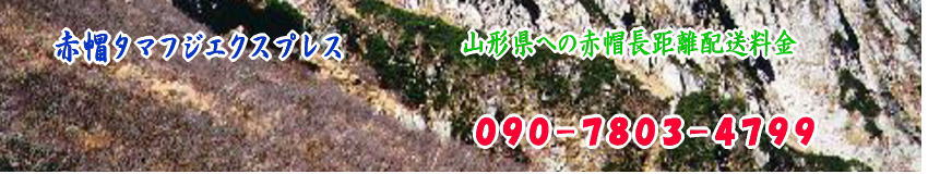 川崎市から山形県の長距離配送料金（目安）